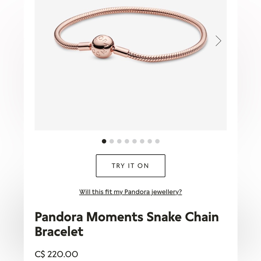 Pandora Moments Snake Chain Bracelet & CHARM